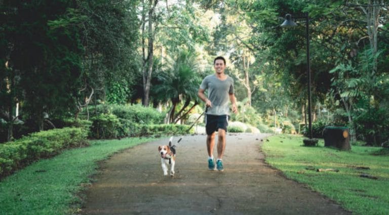 chien sport maître