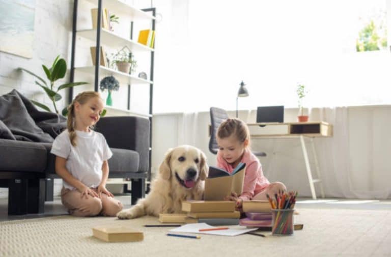 chiens d'assistance à l'apprentissage de la lecture