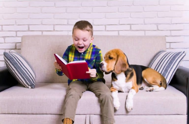lecture enfant chiens d'assistance à l'apprentissage de la lecture