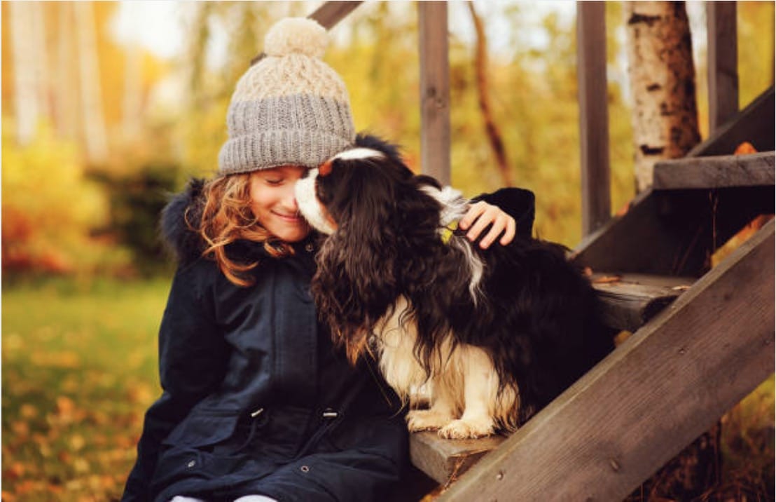 cohabitation chien et enfants