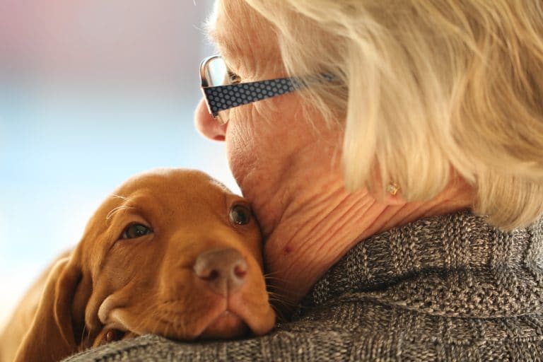 câlin chien henriethaan / Pixabay