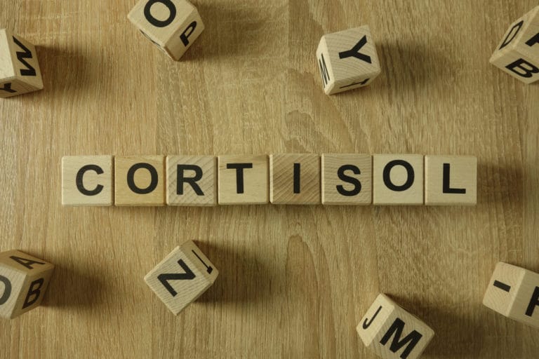 cortisol