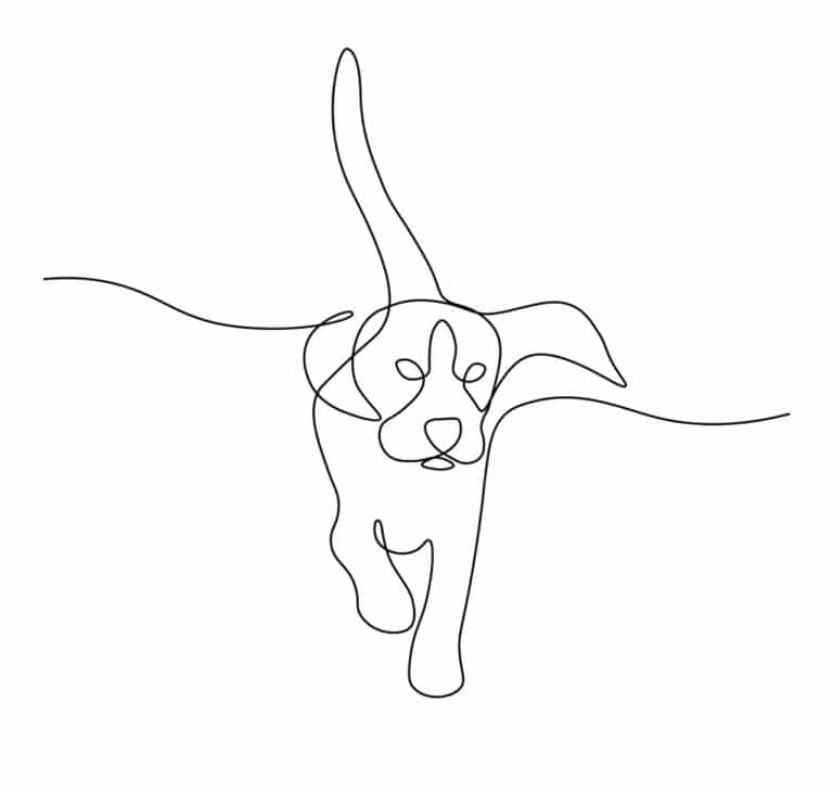 dessin de chien