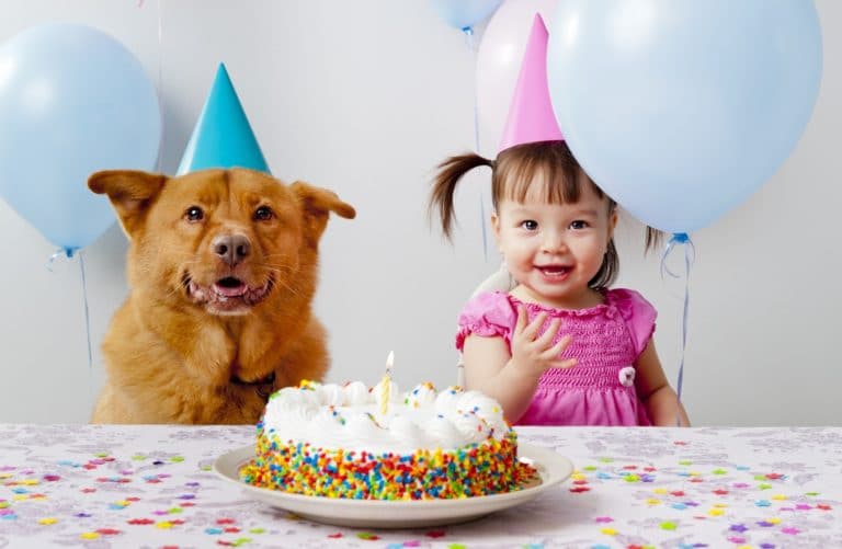 chien anniversaire