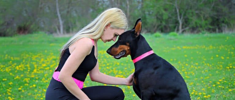 chien soutien maître