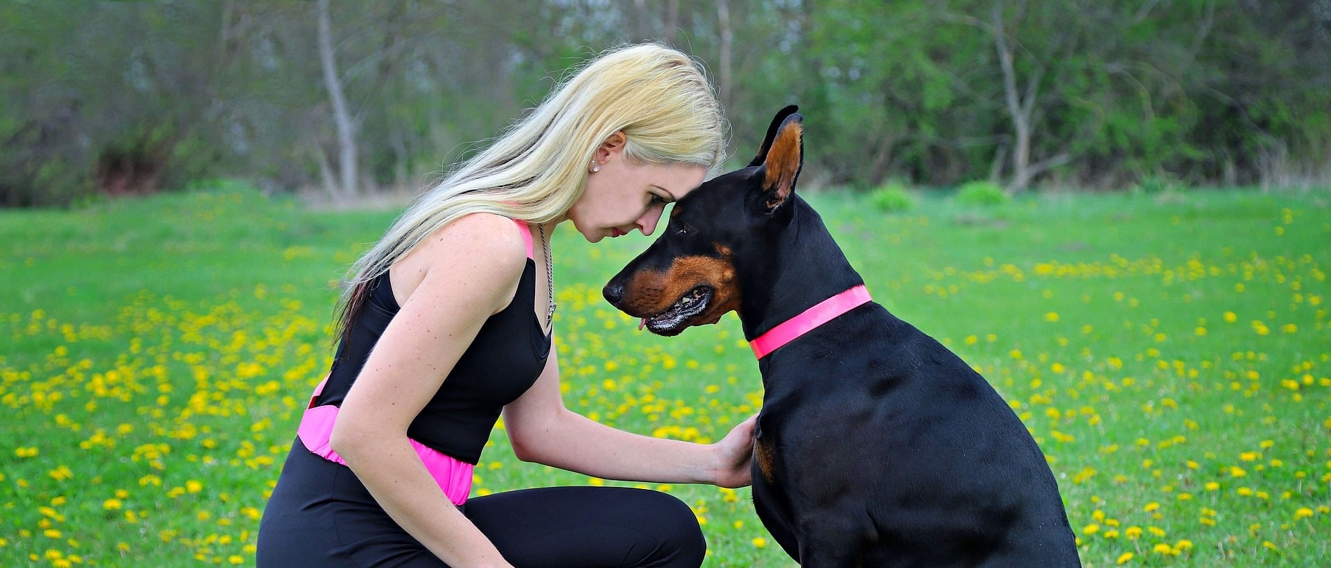 chien soutien maître