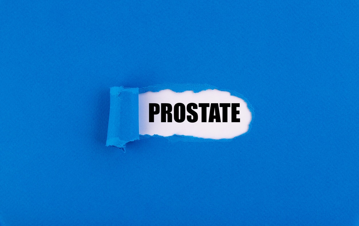 maladie de la prostate du chien