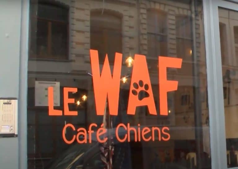 Waf café