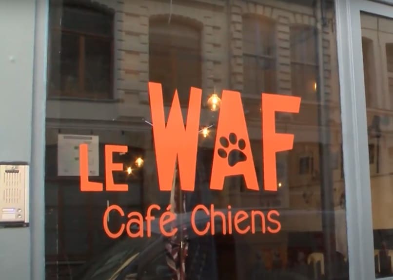 Waf café