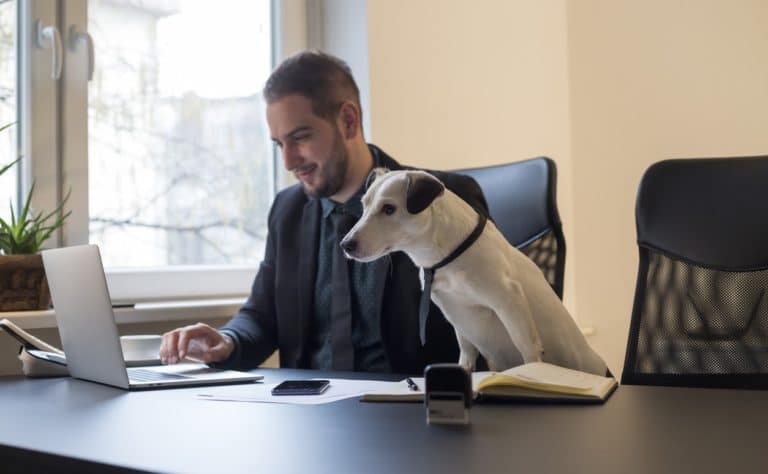 chien au travail