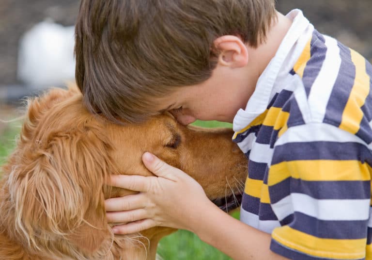 chien dans les bras soutien médiation canine