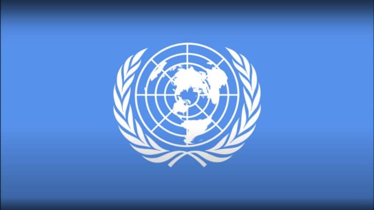 Les chiens de l'ONU