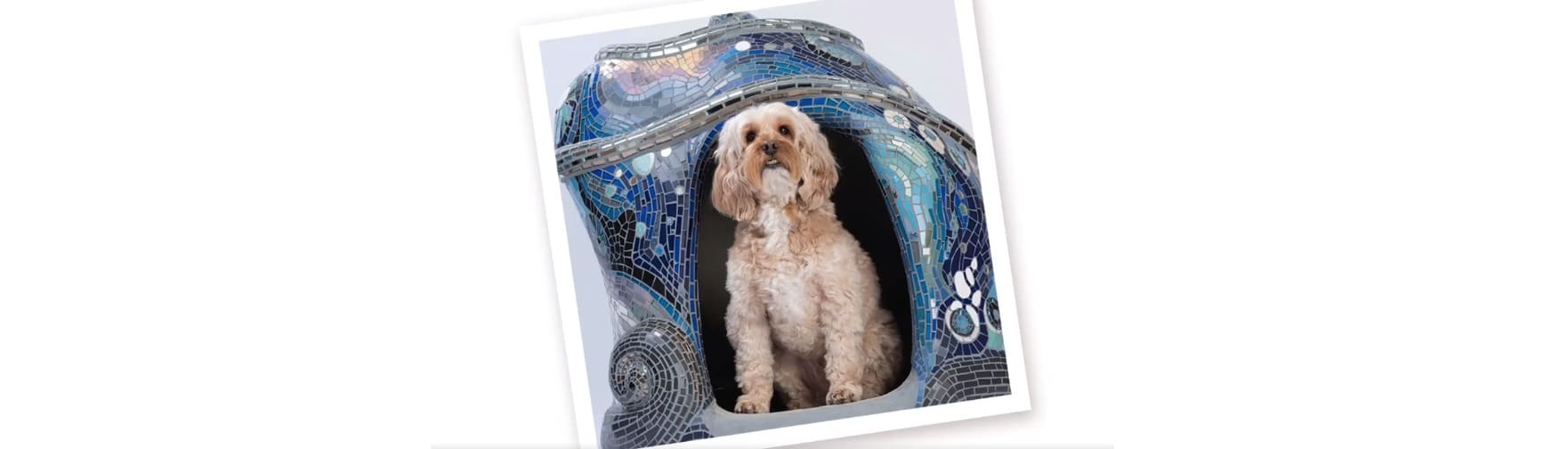 niche BowWow Haus