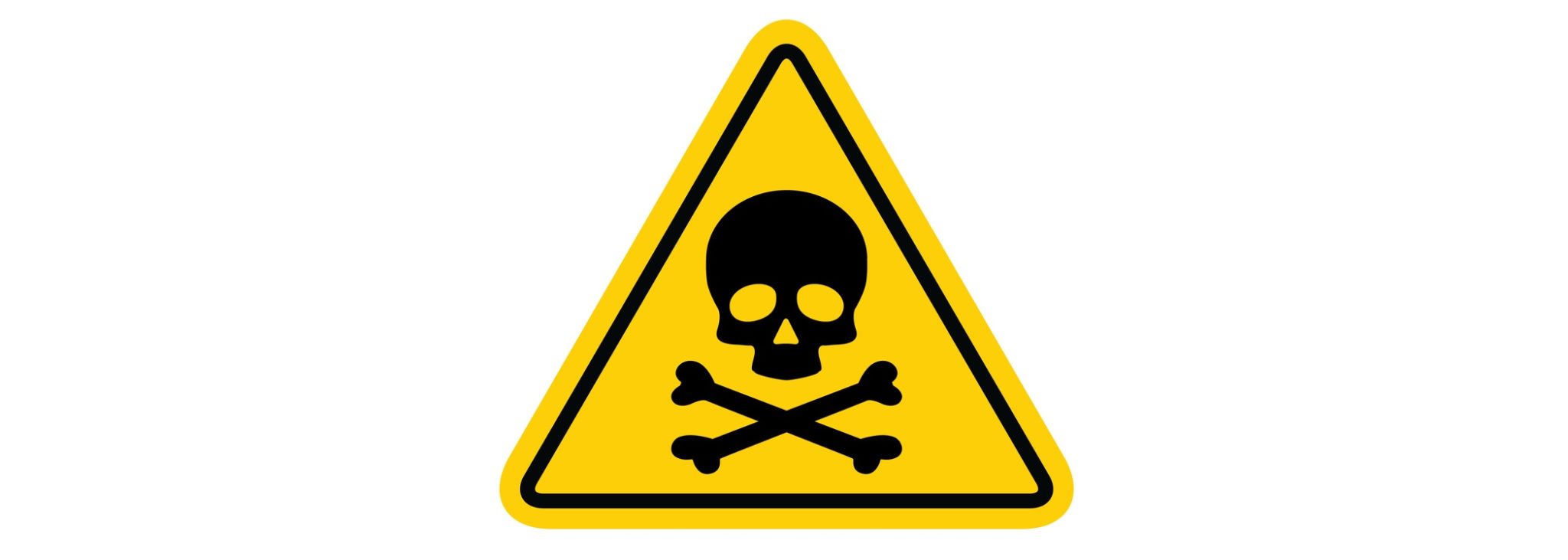 substances toxiques pour les chiens