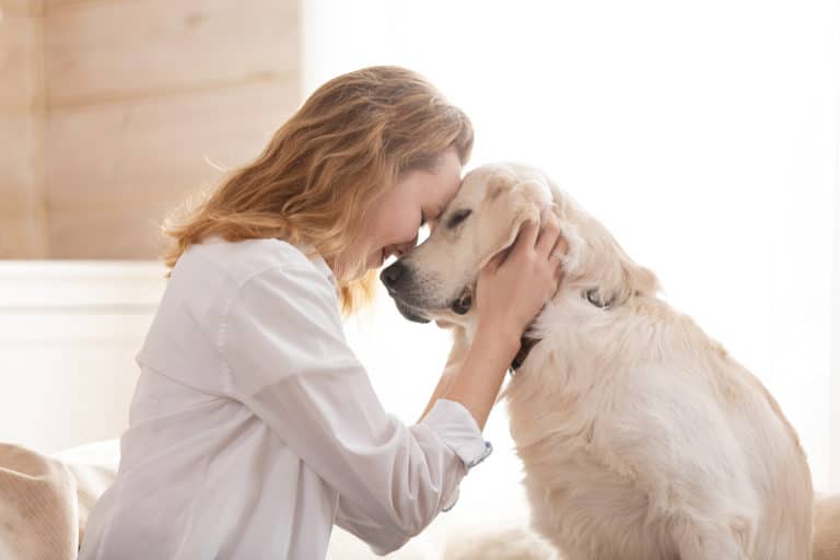 chien maitre amour bien-être