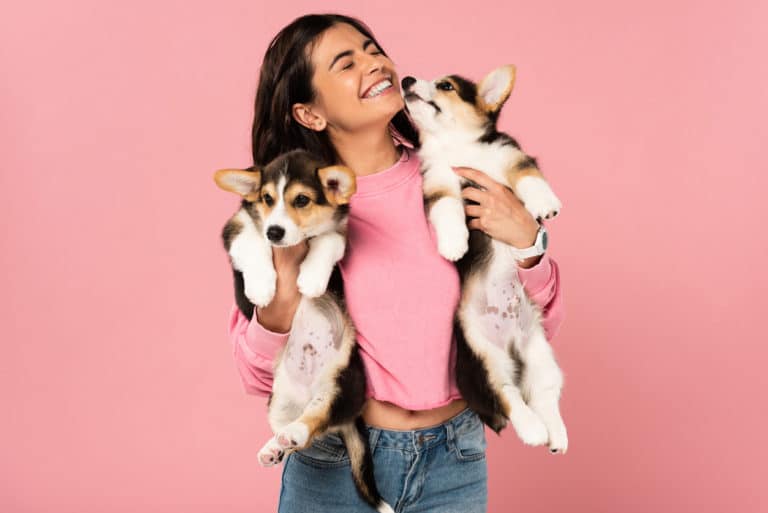 chiot dans les bras de leur maitresse