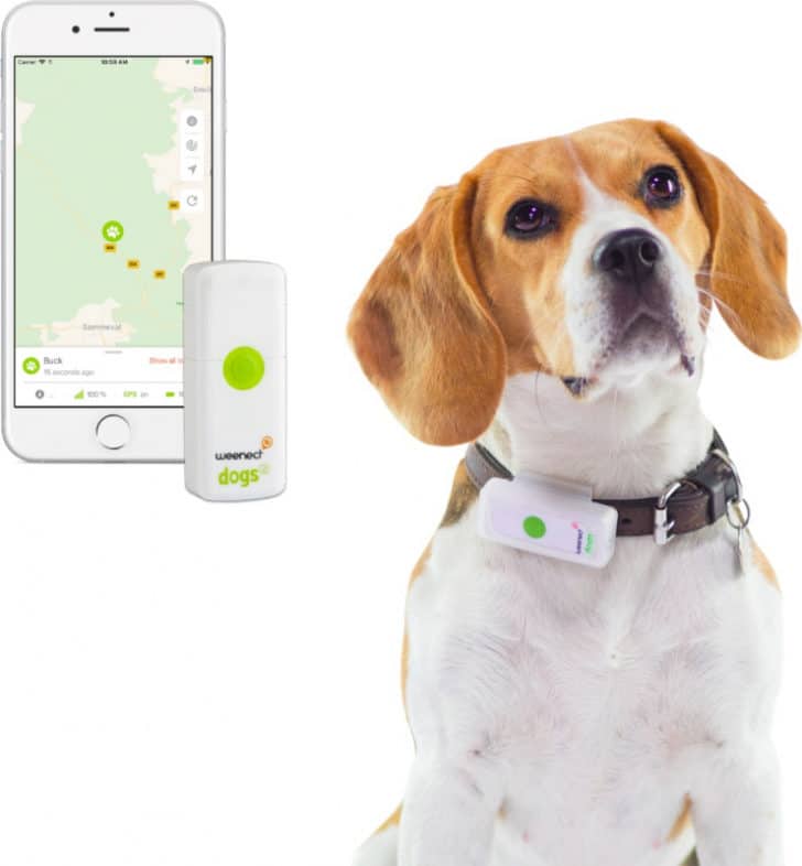 Traceur GPS Anti-perte Pour Chiens Et Objets - Appairage Bluetooth Avec Smartphone - 4