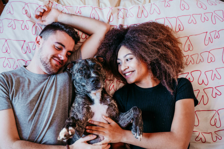 Chien allongé sur le lit avec ses maîtres