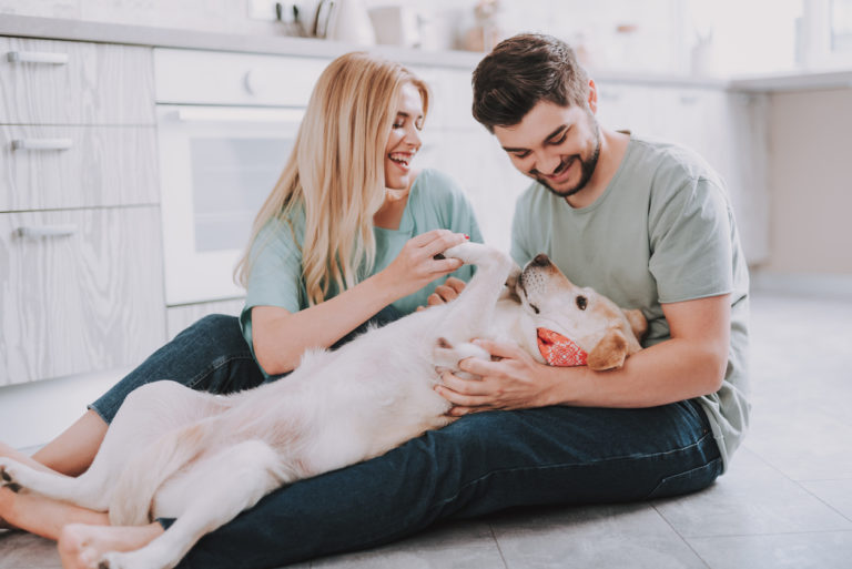 Chien allongé sur ses maîtres