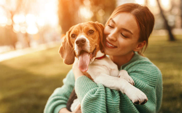 Chien Beagle dans les bras de sa maîtresse