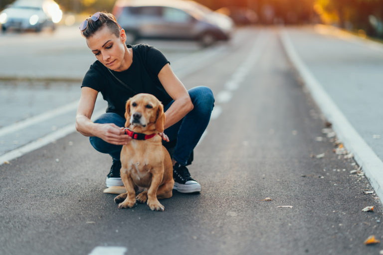 maitresse qui met un collier à son chien