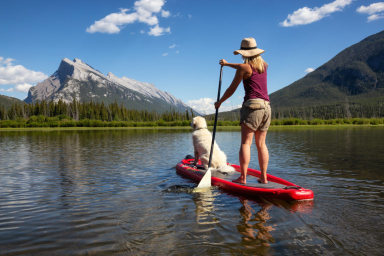 Chien faisant du Paddle avec sa maîtresse sur un lac