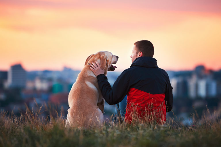 chien avec son maitre qui regarde la ville au loin