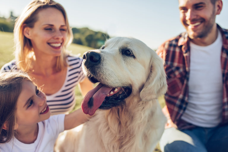 Chien heureux en vacances avec sa famille