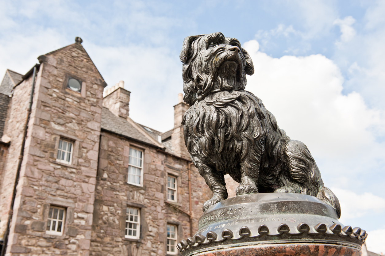 statue du chien Greyfriars Bobby à Edimbourg