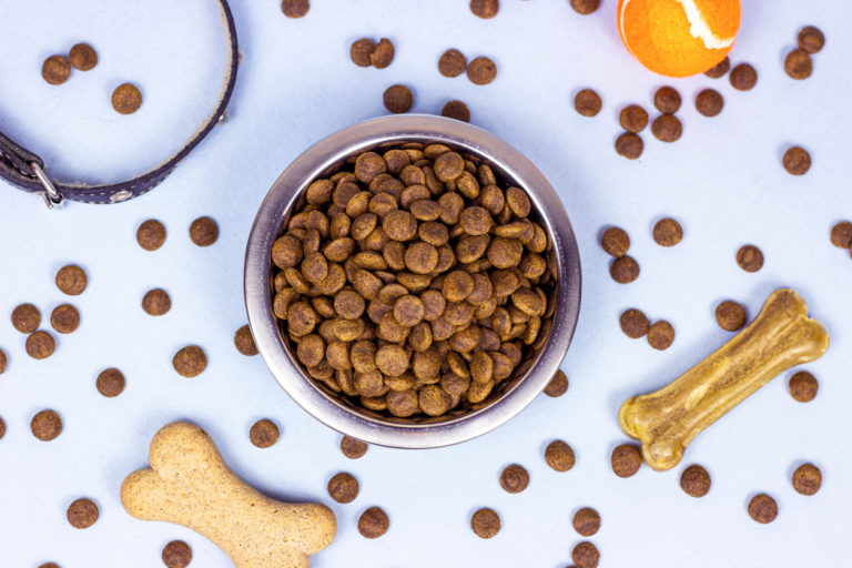 Gamelle de croquettes chien os