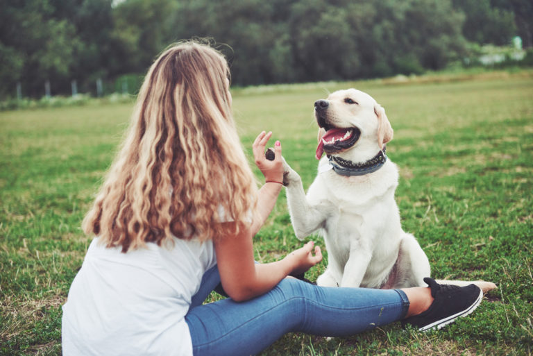 chien et sa maitresse complices