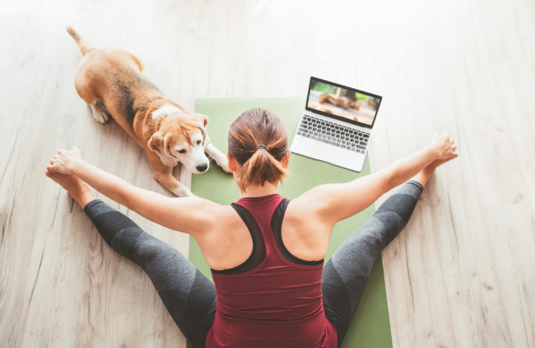 Maîtresse avec son chien faisant du yoga