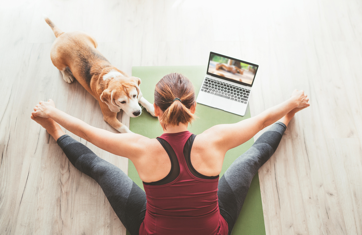 Maîtresse avec son chien faisant du yoga