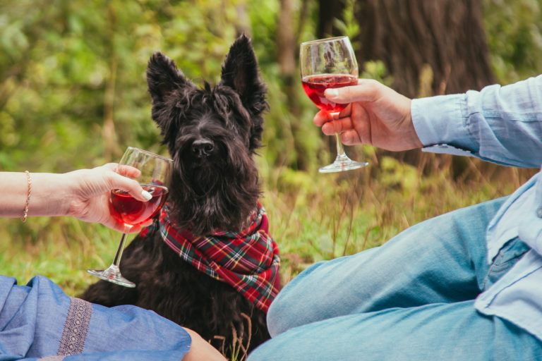 couple qui boit un verre de vin accompagné de leur chien