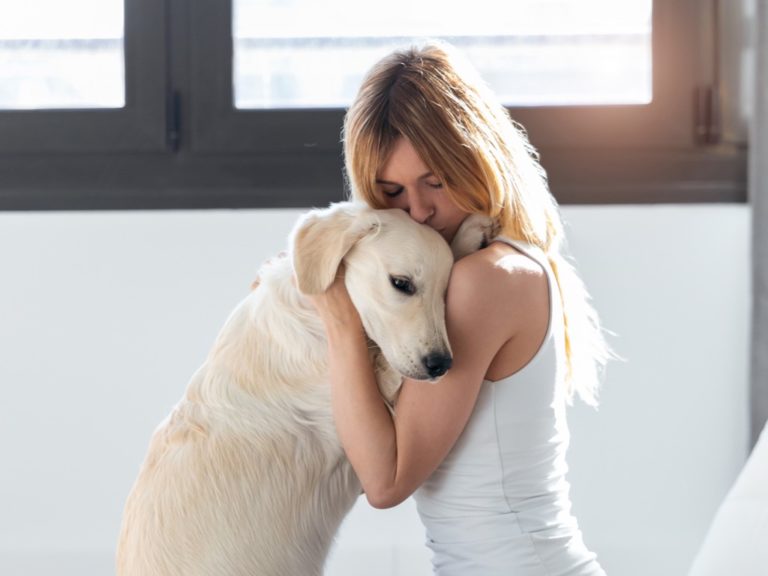 chiot golden retriever dans les bras de sa maitresse