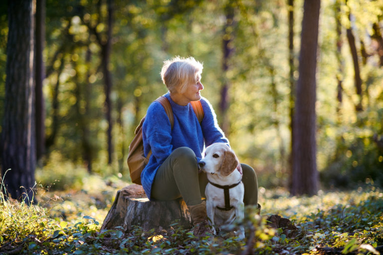 chien avec sa propriétaire dans la forêt
