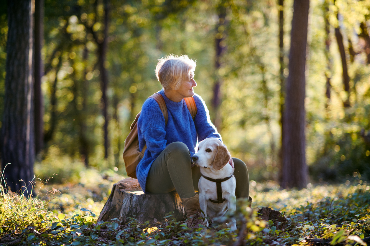 chien avec sa propriétaire dans la forêt