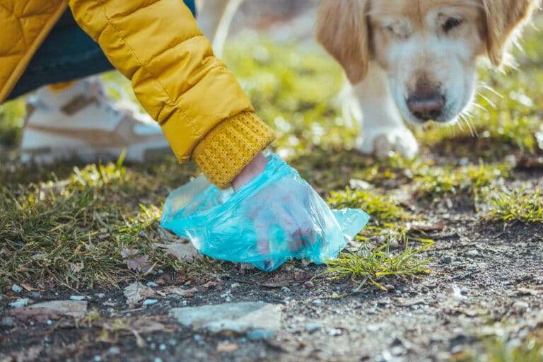 personne qui ramasse les excréments de son chien dans un sac