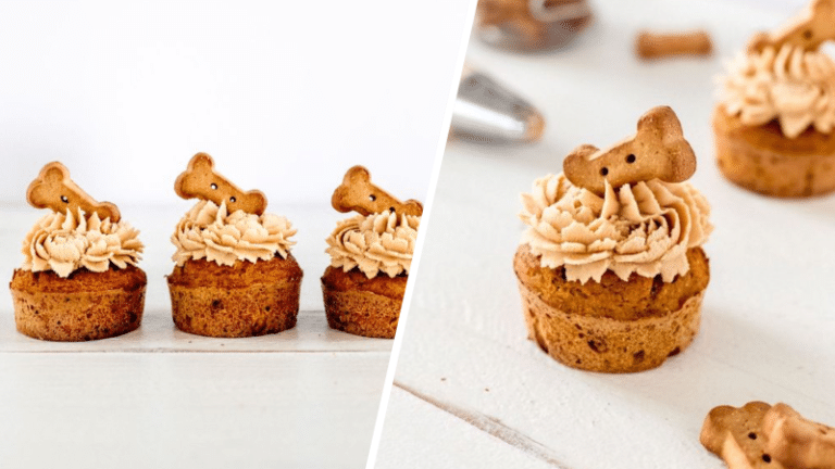 cupcakes pour chien