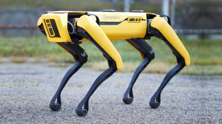 spot chien robot