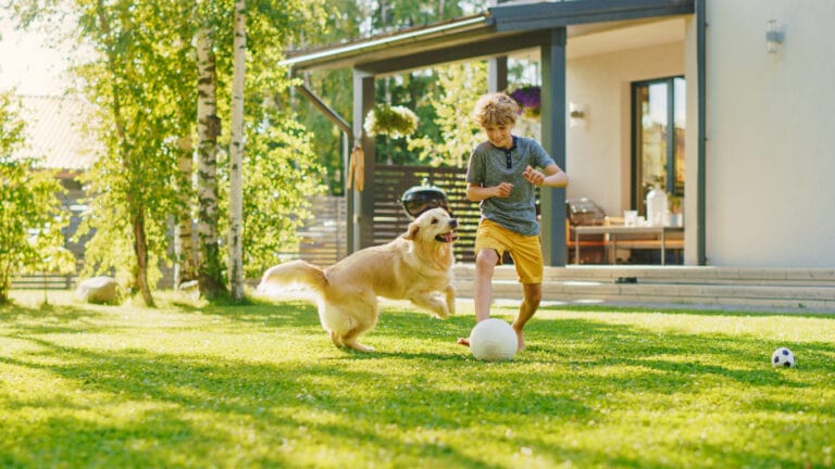 jeune garçon et son chien qui joue dans le jardin