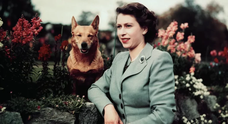la reine Elizabeth II et un Corgi