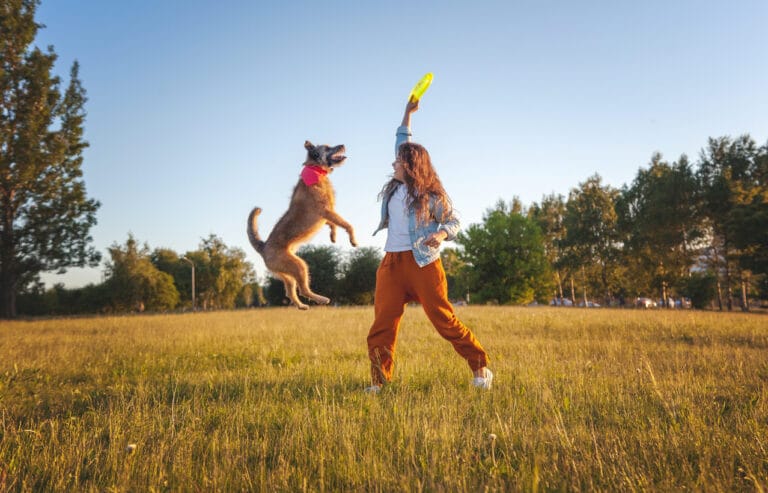 chien qui joue avec sa maitresse