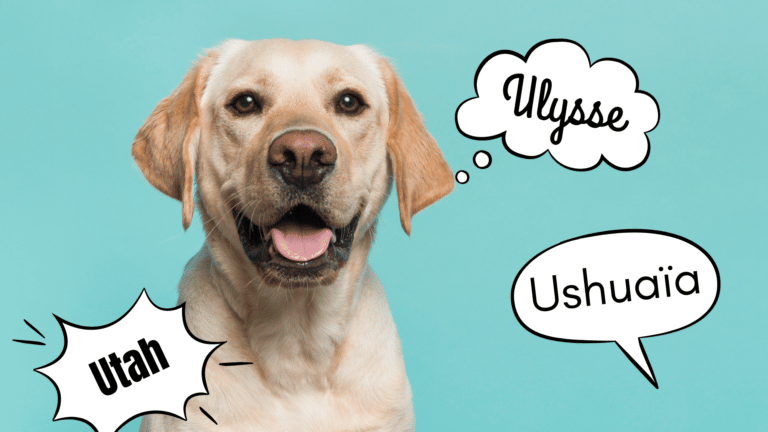 prénoms en U pour chien