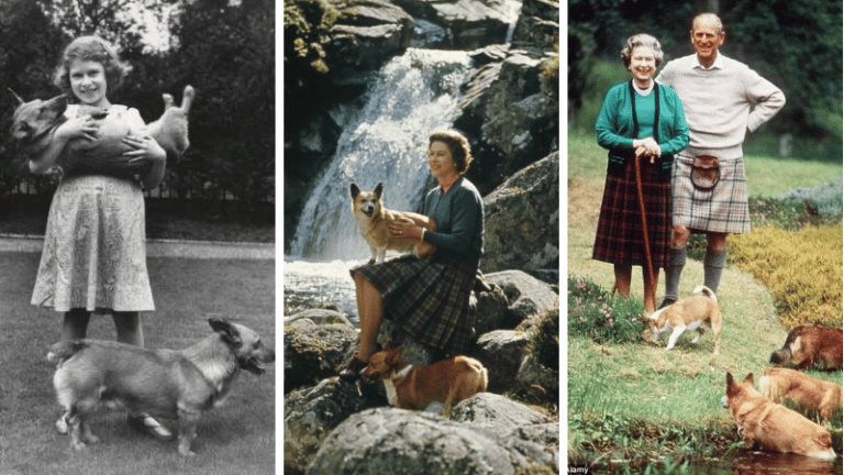 la reine elisabeth II et ses corgis au fil des années
